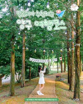 팔로워가 추천하는 양구 여행코스! :: 양구 가볼만한곳