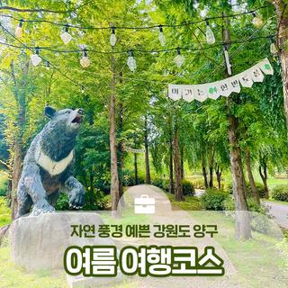 양구 자연 풍경 예쁜 여름 여행코스 추천 :: 양구 가볼만한곳