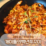 양구 시외버스터미널 근처 쭈꾸미 맛집! 개미들의백년쭈꾸미 :: 양구 맛집