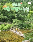 강원도 양구 여름 여행지 추천 :: 양구 가볼만한곳