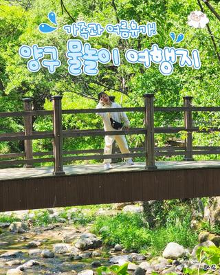 가족과 여름휴가! 양구 물놀이 여행지 :: 양구 가볼만한곳