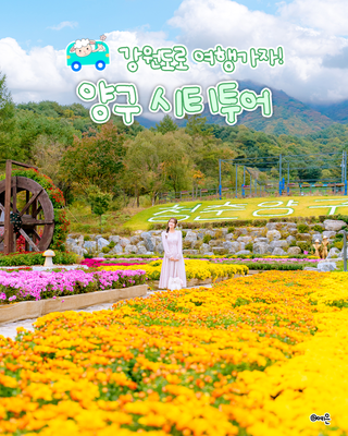 강원도로 여행가자! 양구 시티투어 :: 양구 가볼만한곳