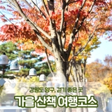 강원도 양구, 가을 산책하기 좋은 여행코스 :: 양구 가볼만한곳