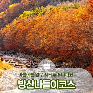 가을에는 양구 시티투어 방산나들이코스(한반도섬, 두타연, 양구백자박물관) :: 양구 가볼만한곳