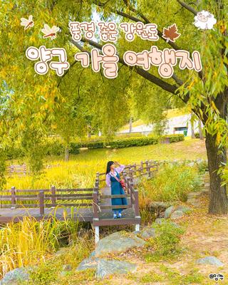 풍경 좋은 강원도 양구 가을 여행지 :: 양구 가볼만한곳