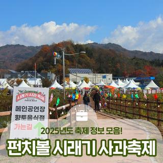 2025 청춘양구 펀치볼 시래기 사과축제 미리보기! 프로그램, 라인업, 이벤트 등 :: 양구 축제
