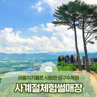 자연과 역사를 걷는 양구 시티투어 해안DMZ트레킹코스(DMZ펀치볼둘레길, 양구전쟁기념관, 을지전망대) :: 양구 가볼만한곳