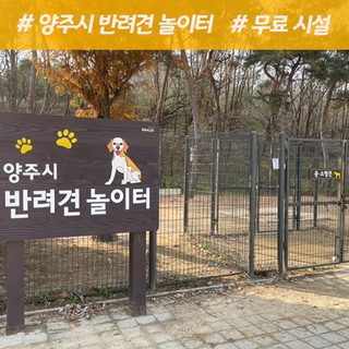 무료로 이용 가능한 양주시 반려견 놀이터