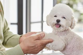 『2024년 동물등록 자진신고 기간』 운영