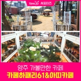 양주 카페 나들이 카페 하패리 61 & 아띠카페