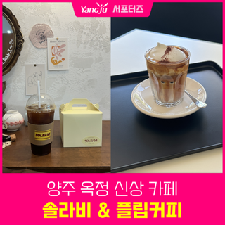 양주 옥정 신상 카페, 솔라비(SOLAVI) & 플립커피(FLIP COFFEE)