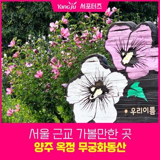 서울 근교 가볼만한곳 산책하기 좋은 양주 옥정 독바위 무궁화동산