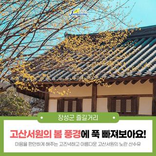 [4월 여행지] 고산서원, 산수유 가득한 봄 풍경에 빠지다!