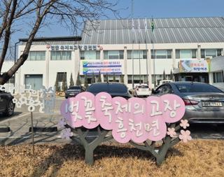 꽃바람, 신바람, 흥바람! 2025 여주흥천벚꽃축제 사전취재 다녀왔어요~