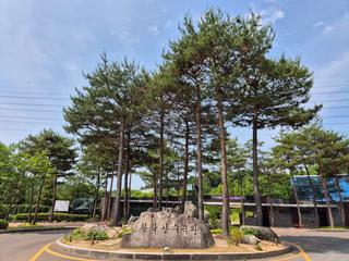 2025년 여주시절화연구회 ‘꽃바구니 만들기 체험 행사’ 참여 후기