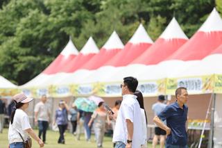 “자연의 풍부한 생명력과 달콤한 향기로 가득찬 금사참외! 금빛 향기 따라 떠나볼까?”