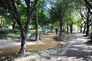 도심 속 힐링 공간, 여주근린공원 황토 맨발길