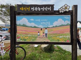 제3회 여주 대신섬 가을사랑축제