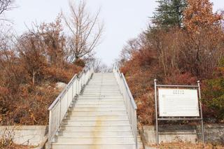 영천 성환산 애국지사 충렬공원 조용히 산책하고 왔어요!