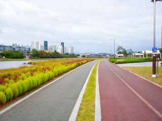 다양한 활동을 하기 좋은 공원, 영천생태지구공원