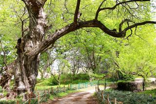 연초록 오리장림과 녹색체험터에서온 가족이 함께 즐거운 시간을~~!!