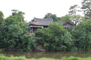 초록의 싱그러움 가득한 조선시대 가옥 영천 완귀정