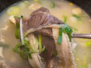 영천 여행 든든한 먹거리 곰탕골목 추천