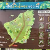 영천 아이와 가볼 만한 곳 “영천 별빛 유아 숲 체험원”