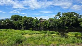 영천 북안천 언덕 위 거북처럼 숨은 고택, 완귀정 현장스케치