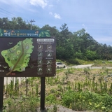 아이와 함께 가기 좋은 곳 영천 유아숲체험원