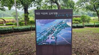 영천 가볼 만한 곳 500여 년 역사 천연기념물 제404호 화북면 자천리 오리장림