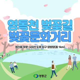 [공지사항] 영동천 벚꽃길 벚꽃문화거리 안내