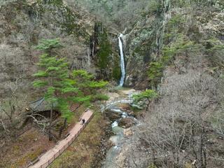 <양산면 건강센터 개관>,<인구·청년정책 숏폼 영상 공모전>,<옥계폭포>,<비만예방의 날 캠페인> 등