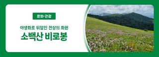경북 영주 소백산 비로봉 - 야생화로 뒤덮인 천상의 화원 / 소백산 등산 코스 추천