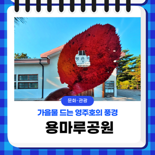 주말 당일치기 여행, 힐링여행, 가을물 드는 영주호의 풍경 속 용마루공원