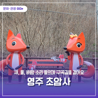 새, 물, 바람 소리 들으며 구곡길을 걸어요. 영주 초암사