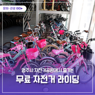 경북 영주 봄나들이, 영주시 자전거공원에서 즐기는 무료 자전거 라이딩