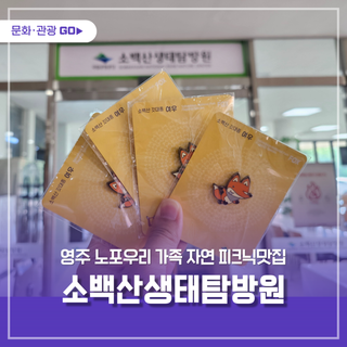 우리 가족 자연 피크닉, 영주 소백산생태탐방원