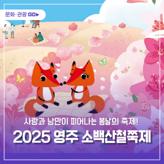 2025 영주 소백산 철쭉제, 사랑과 낭만이 피어나는 봄날의 축제!