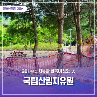 숲이 주는 치유와 회복이 있는 국립산림치유원