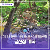 그림 같은 정자와 시원한 물소리 속 여름 힐링 여행, 금선정 계곡