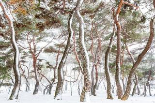 강원도 영월 여행하고 숙박비 지원 받으세요!!