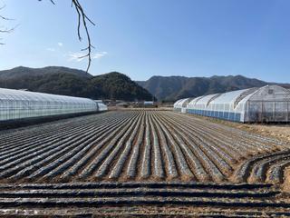영월에 살아요_미워할 수 없는, 고향의 향