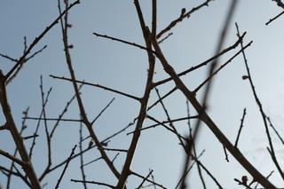 영월에 살아요_반려식물을 키운다는 것