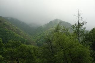 영월에 살아요_봄비