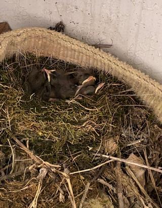 영월에 살아요_둥지