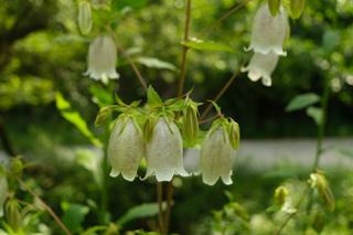 영월에 살아요_자연의 선물