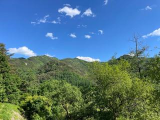 영월에 살아요_여름의 시작