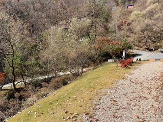 영월에 살아요_낙엽 출입 금지