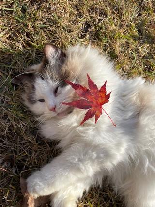 영월에 살아요_어제는 가을, 오늘은 겨울